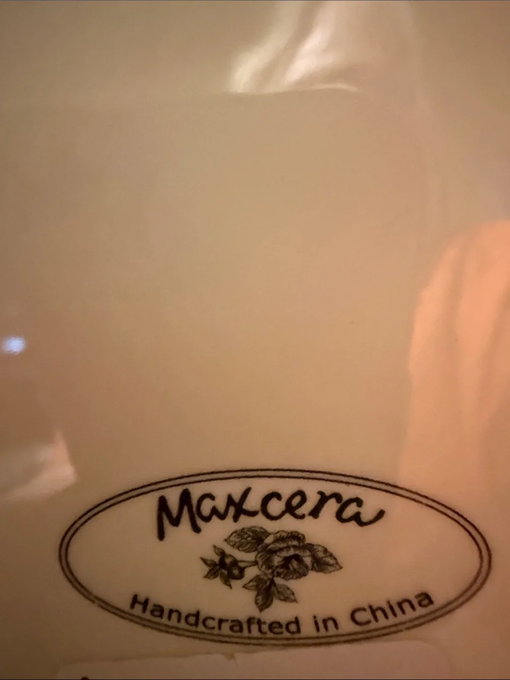 Maxcera Cup hand painted